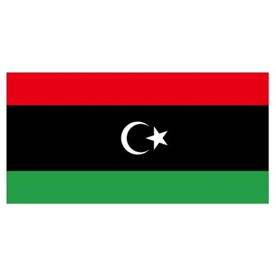 利比亚COI认证