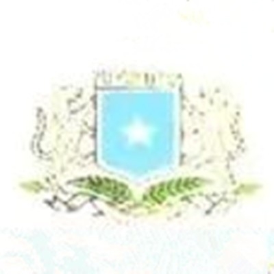 出口索马里提示 | 4月15日起 恢复执行电子货物跟踪单ECTN要求