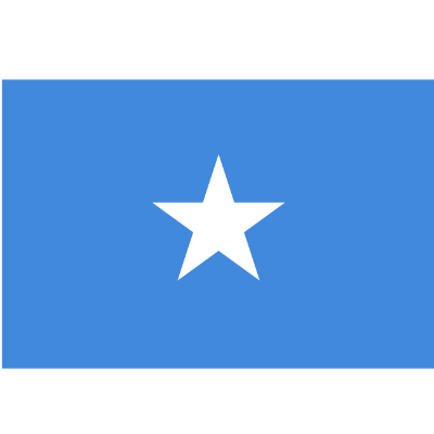 索马里-2023年7月15日起，部分货品在清关时需配备CBCA证书